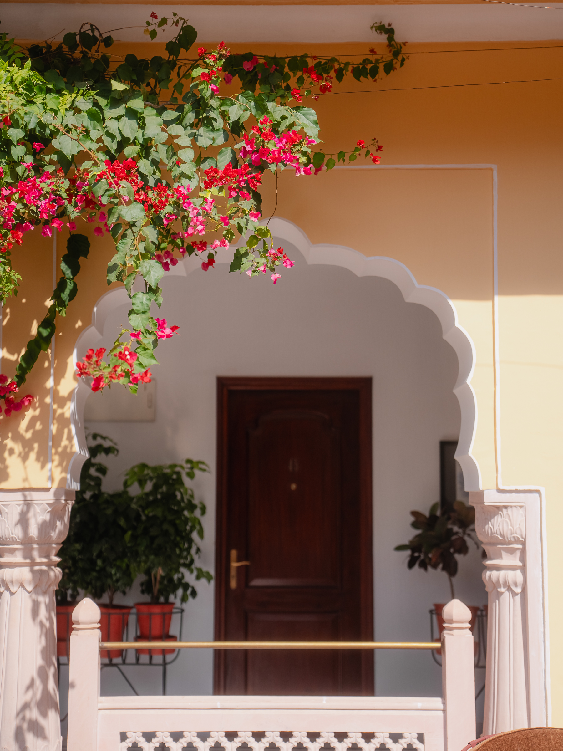 Image from Akhila Anand